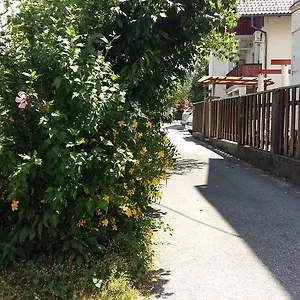  Maison d'hôtes Sunflower